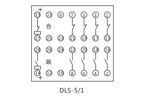 DLS-5/1接線(xiàn)圖